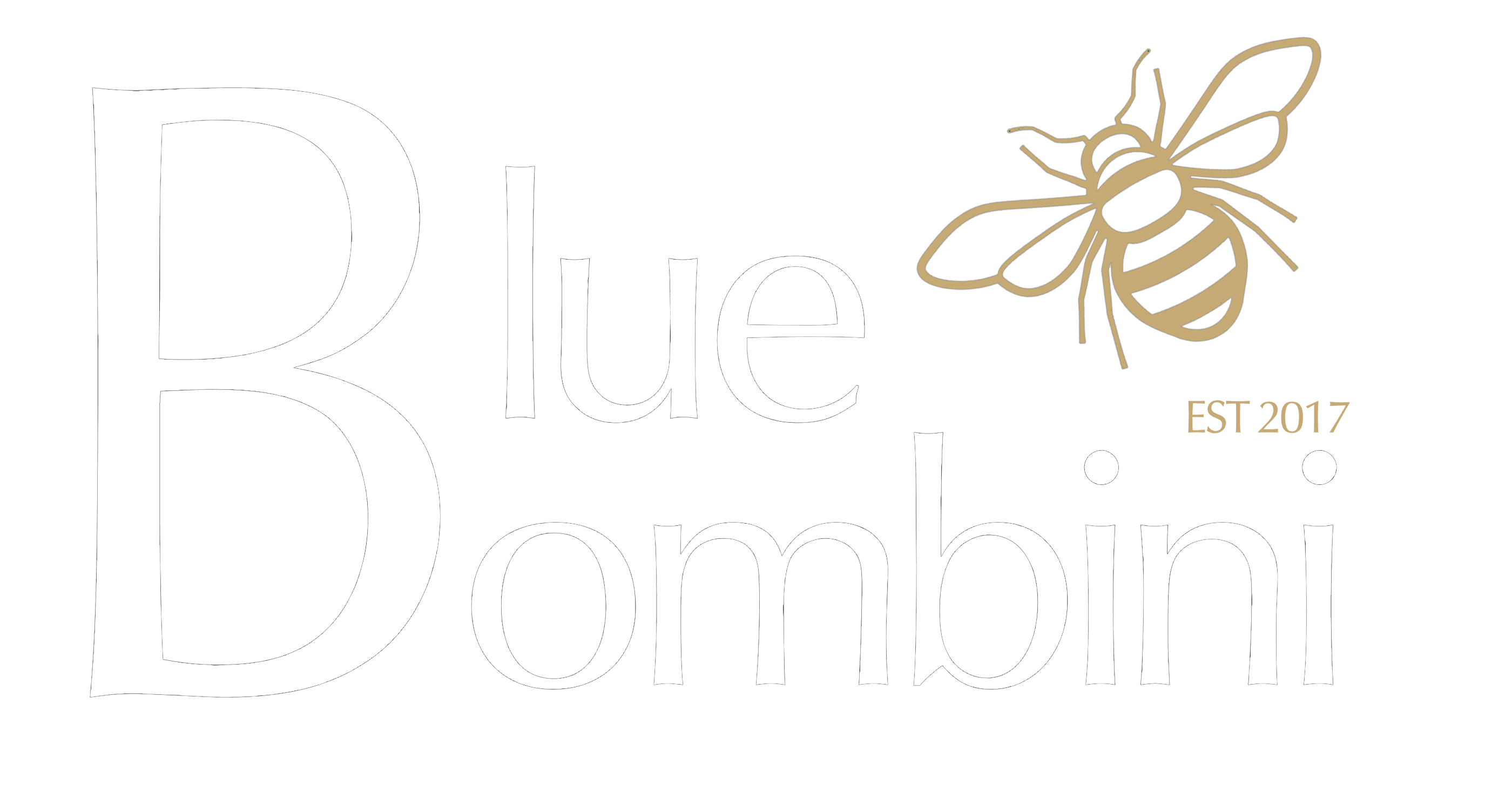 Blue Bombini Group